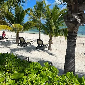  Apartamento Beachfront Loft Amara